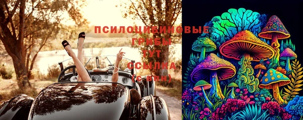 прущий лед Алексеевка