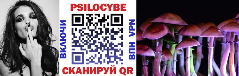 Псилоцибиновые грибы Psilocybe Ивдель